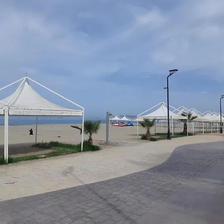 Comfy Beachfront - 50m From The Sea Apartment
